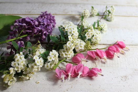 The picture shows beautiful spring flowers on white boards.