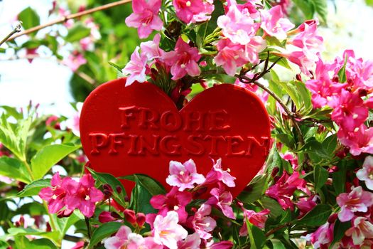 The picture shows a heart with the german text happy pentecost in the weigela.