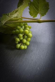 Green grapes and vine on a gray table