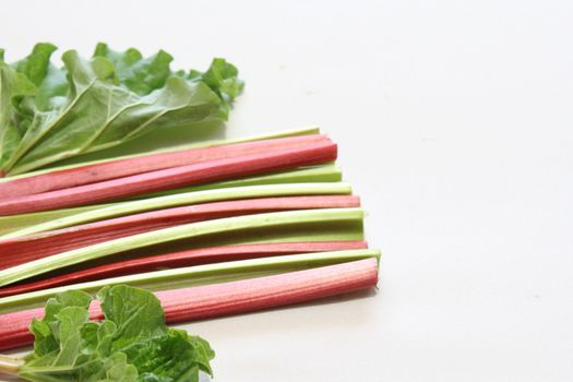 The picture shows colorful delicious rhubarb with leaves.