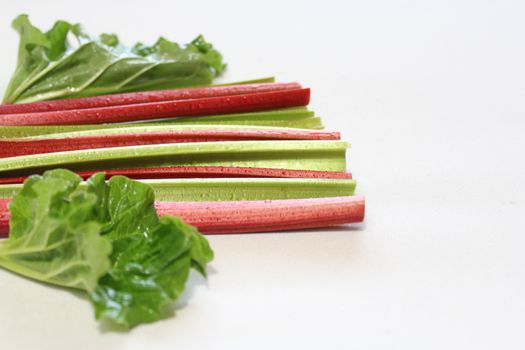 The picture shows colorful delicious rhubarb with leaves.