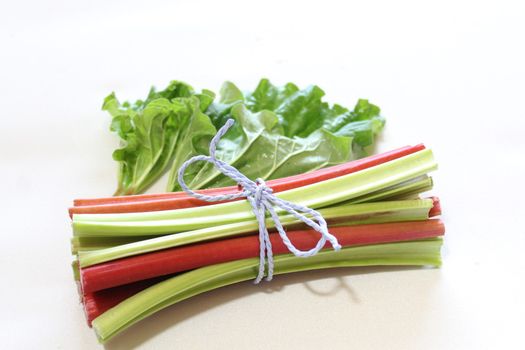 The picture shows colorful delicious rhubarb with leaves.