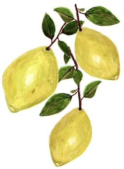 Hand drawn picture of yellow lemon with green leafs. Illsutration isolated on white background.