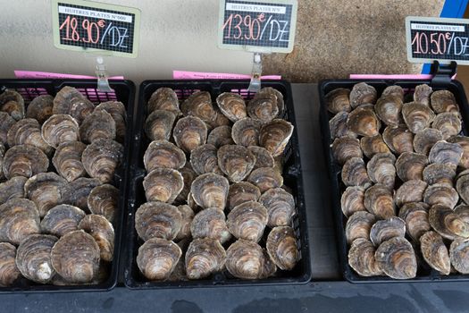 Healthy sea food in france sea shore vacation of Britanny trave