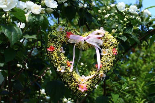 The picture shows a romantic heart in the jasmine.