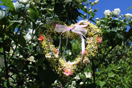 The picture shows romantic heart in the jasmine.
