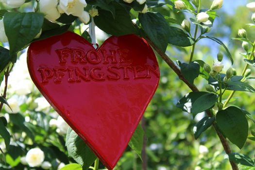 The picture shows a red heart in the jasmine with the german text happy pentecost.