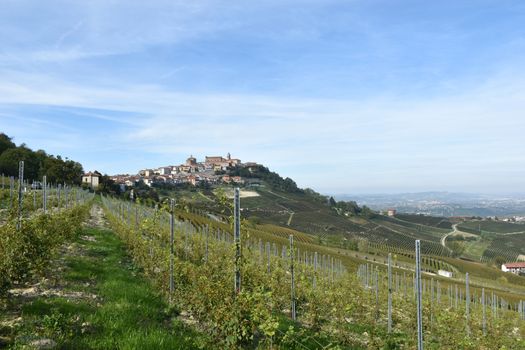 La Morra vineyards in Langhe, Piedmont, Italy