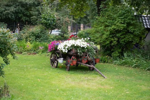 Flowers on the wagon
