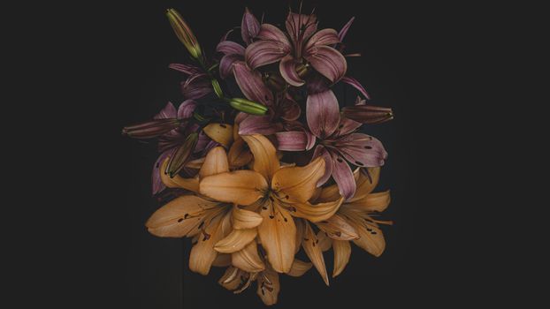 Yellow flowers on dark background. Beautiful lilies.