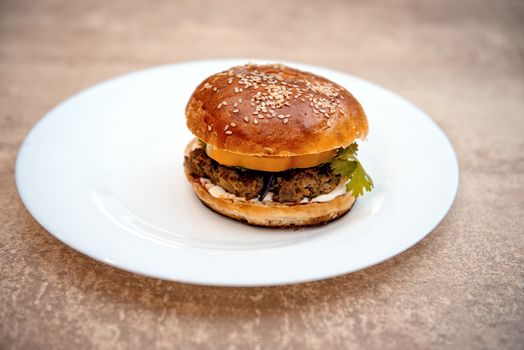 Homemade hamburger with fresh vegetables on white plate.