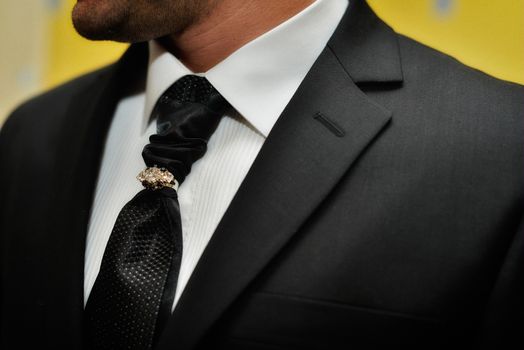 Expensive suit. Classically tie and luxury tie clip for respectable men