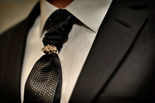 Expensive suit. Classically tie and luxury tie clip for respectable men