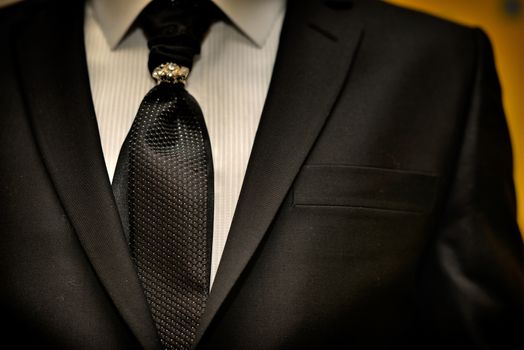 Expensive suit. Classically tie and luxury tie clip for respectable men