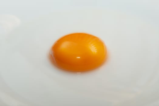 one egg yolk on plate. Soft as pudding