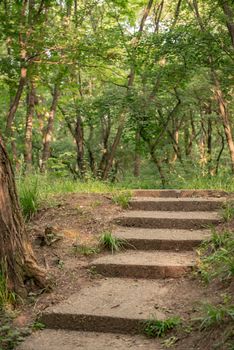 Personal perspective of walking on a path in the forest