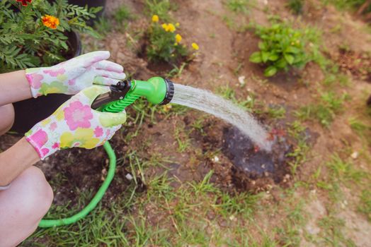 women's hands in garden gloves watered the garden