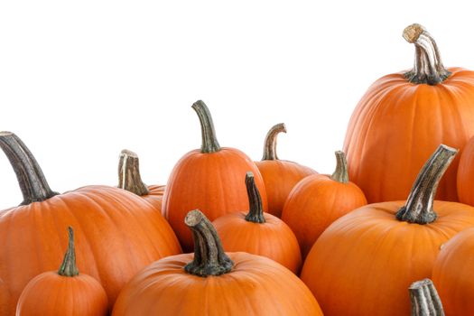 Heap of many orange pumpkins isolated on white background , Halloween concept