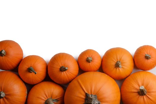 Heap of many orange pumpkins isolated on white background , Halloween concept