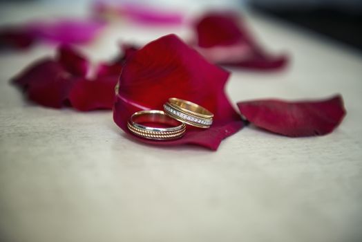 Wedding rings on a petal of red rose.