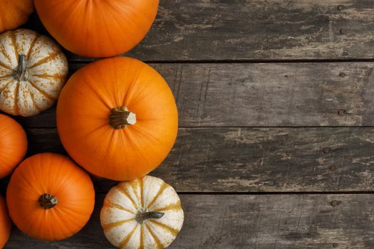 Many orange pumpkins on dark wooden background, Halloween concept, top view with copy space