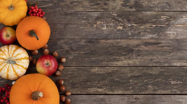 Autumn harvest still life with pumpkins , apples , hazelnuts on wooden background , top view