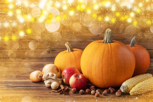 Autumn harvest still life with pumpkins , apples , hazelnut , corn , ginger , onion and cinnamon on wooden background and golden bokeh