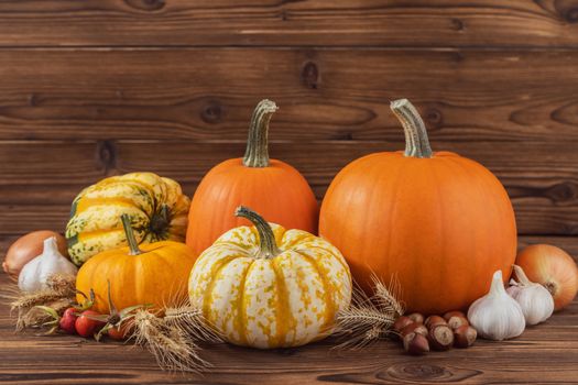 Autumn harvest still life with pumpkins , wheat ears , hazelnuts , garlic , onion and rosehip berries on wooden background