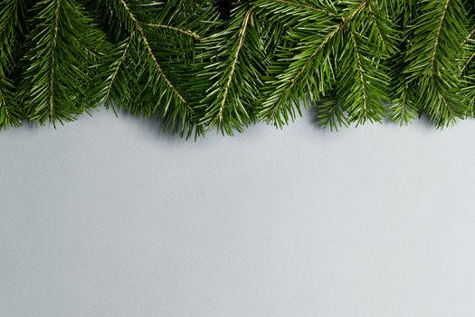 Natural fir Christmas tree border frame on white , copy space for text