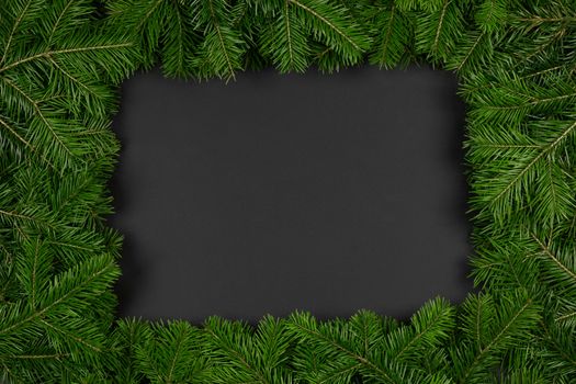Pine Christmas tree branches on black paper background flat lay top view mock-up