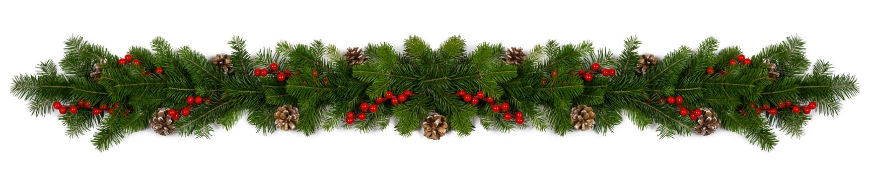 Christmas Border frame of tree branches red berries and pine cones on white background with copy space isolated