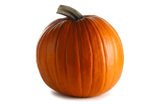 One perfect pumpkin isolated on white background