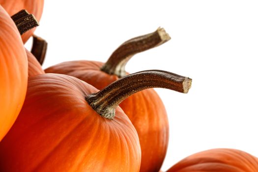 Heap of many orange pumpkins isolated on white background , Halloween concept