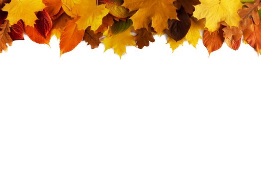 Colorful autumn leaves frame isolated on white background copy space for text