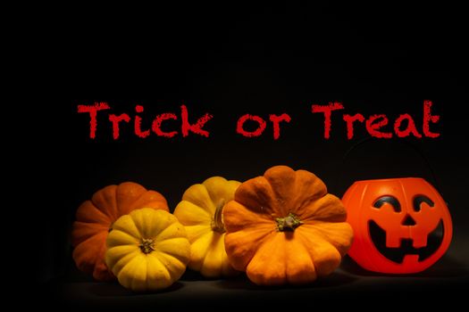 The Halloween pumpkin on dark background with Trick or Treat text
