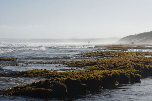 Green moss rocks and pools on an African south coast summer beach, Mossel Bay, South Africa