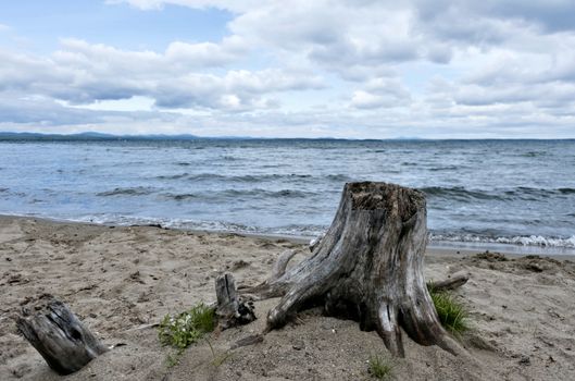 old wood stump on the lake, on the background of cloudy sky, South Ural, Uvildy, in the distance are seen the Ural mountains