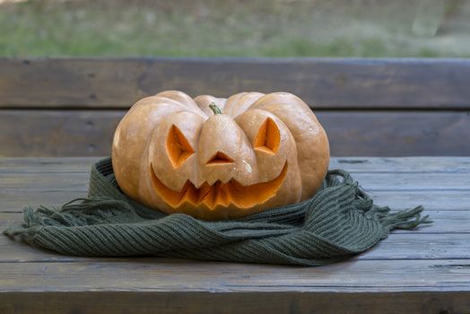 orange halloween pumpkin with carving, crushed and collapsible typology, on a background in nature or white