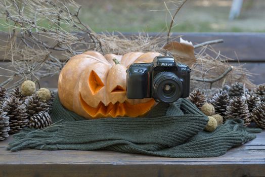 orange halloween pumpkin with carving, crushed and collapsible typology, on a background in nature or white