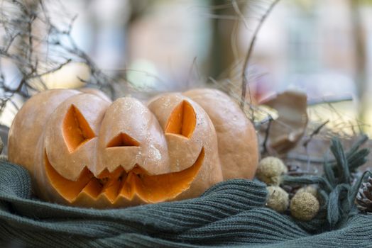 orange halloween pumpkin with carving, crushed and collapsible typology, on a background in nature or white