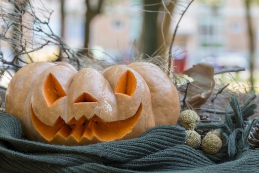 orange halloween pumpkin with carving, crushed and collapsible typology, on a background in nature or white