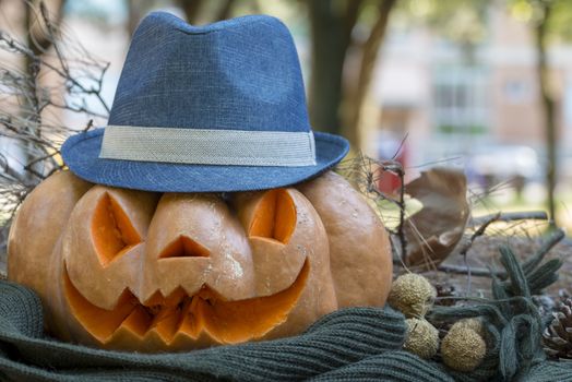 orange halloween pumpkin with carving, crushed and collapsible typology, on a background in nature or white