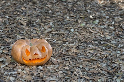 orange halloween pumpkin with carving, crushed and collapsible typology, on a background in nature or white