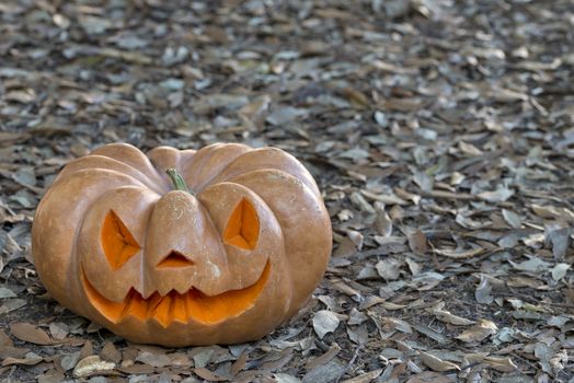 orange halloween pumpkin with carving, crushed and collapsible typology, on a background in nature or white