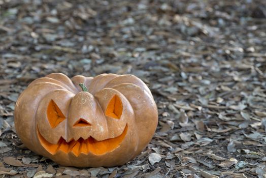 orange halloween pumpkin with carving, crushed and collapsible typology, on a background in nature or white