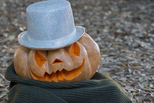 orange halloween pumpkin with carving, crushed and collapsible typology, on a background in nature or white