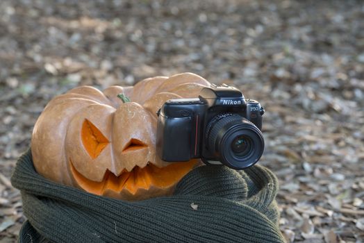 orange halloween pumpkin with carving, crushed and collapsible typology, on a background in nature or white