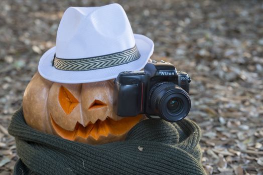 orange halloween pumpkin with carving, crushed and collapsible typology, on a background in nature or white