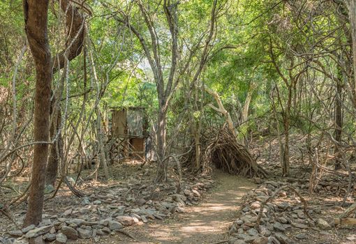 Wooden structures on the waterfall trail in the Blyde River Canyon