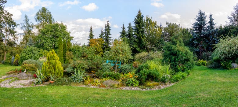 Beautiful fall garden, with evergreen conifer trees. Autumn gardening concept